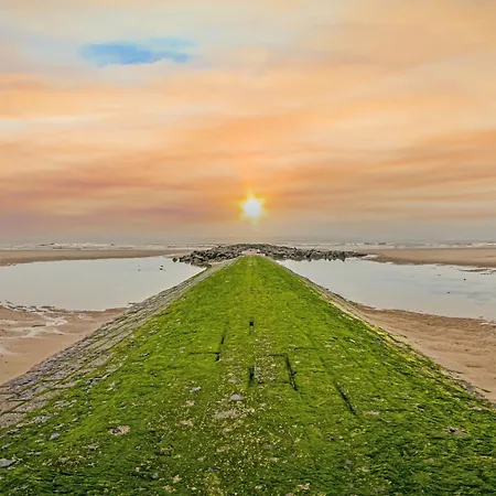 On Zeedijk With Sea View Koksijde