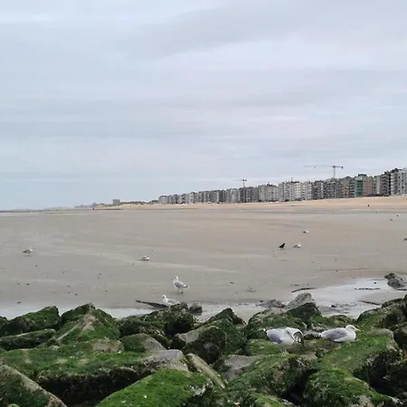 Apartamento On Zeedijk With Sea View Koksijde