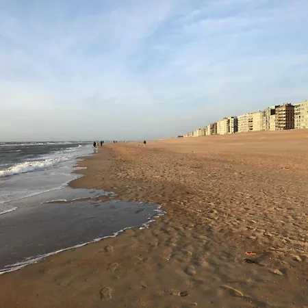 On Zeedijk With Sea View Koksijde