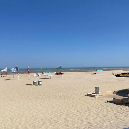 Apartment Les Mouettes 501 Located Directly On The