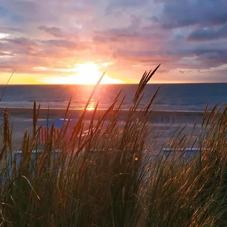 Apartment Les Mouettes 501 Located Directly On The Koksijde